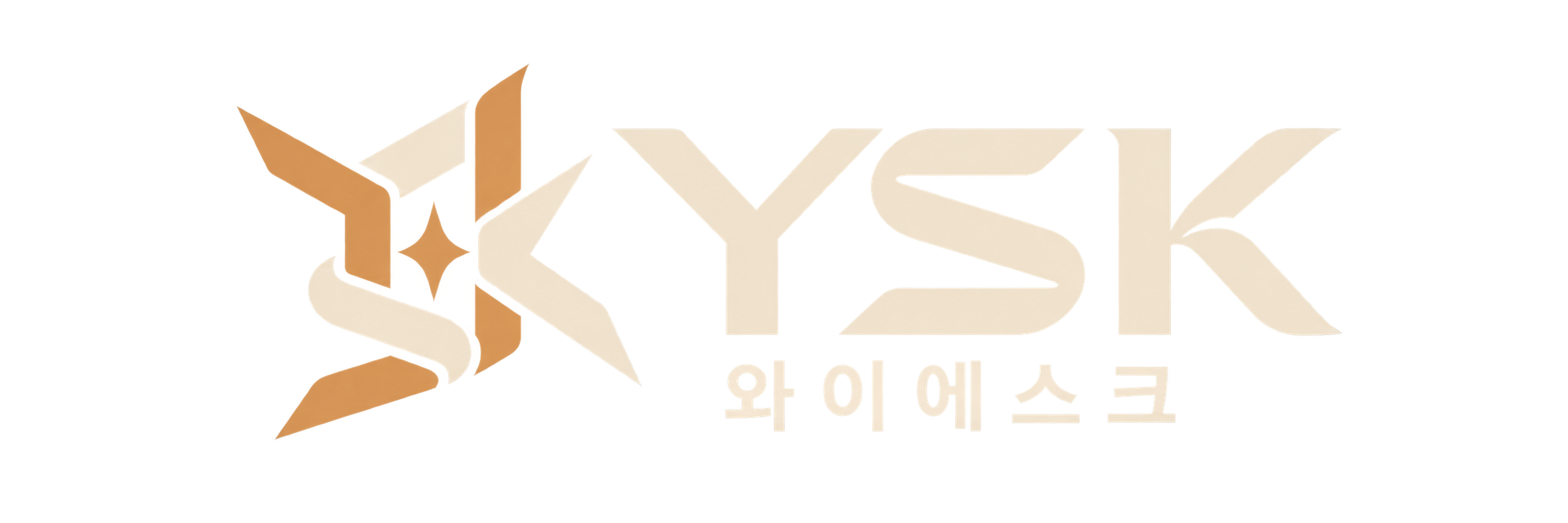 YSK 와이에스크
